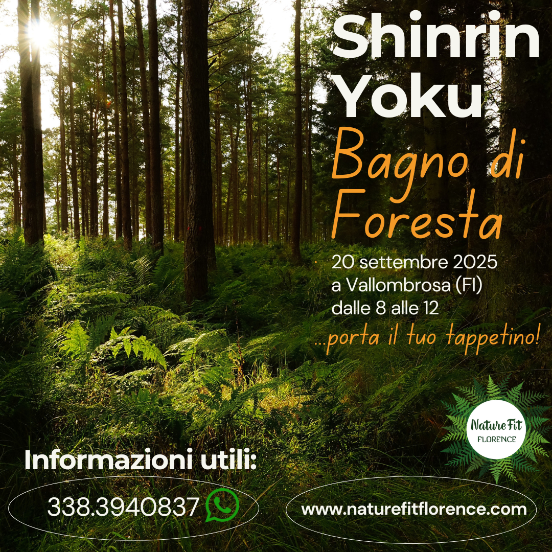 Forest Bathing Vallombrosa 