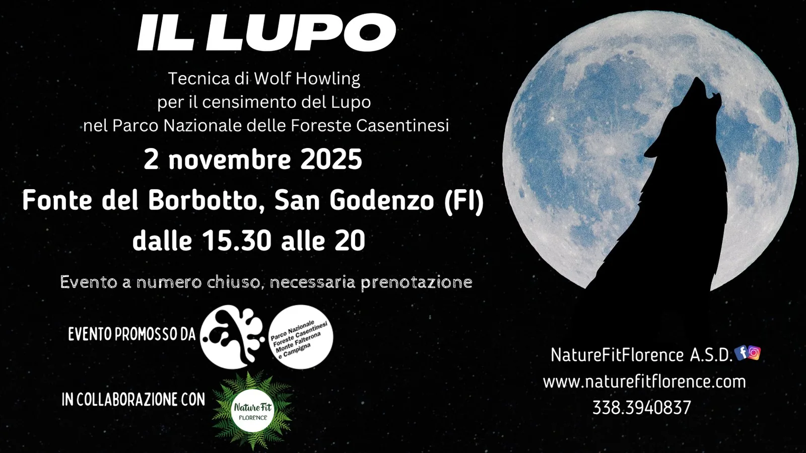 Censimento del lupo con il wolf howling