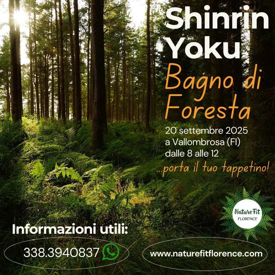 Forest bathing nella foresta di Vallombrosa